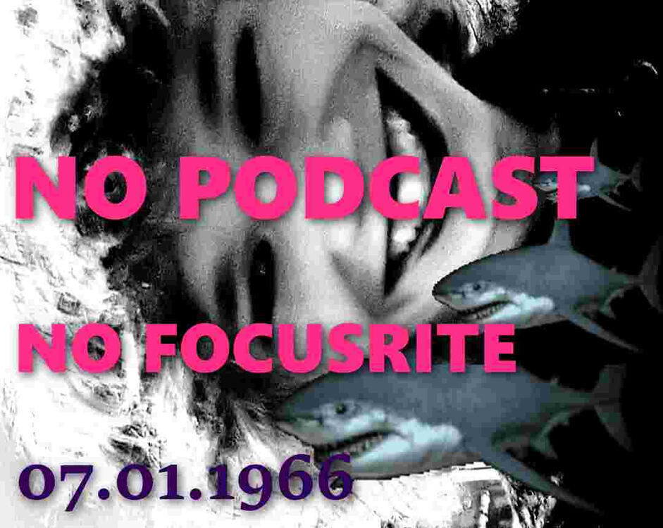 no podcast - no focusrite